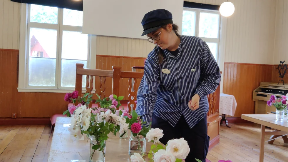 Linnea Elvira Eriksson berättar att de gamla rosorna endast blommar en gång om året till skillnad från moderna sorter. 
