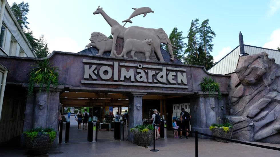 Nu söker Kolmården sommarjobbare. Behovet är 850 personer.