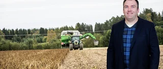 Maten som smakar bäst på faten