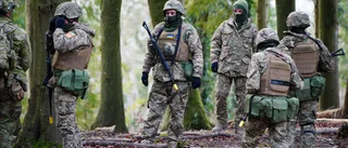 17 000 ukrainska soldater utbildade