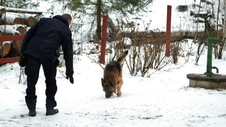 Schäferhunden Garro är specialtränad för att söka efter döda kroppar. I går genomsöktes trädgården runt 41-åringens fritidshus. I dag fortsätter sökandet i Stora Rängen.