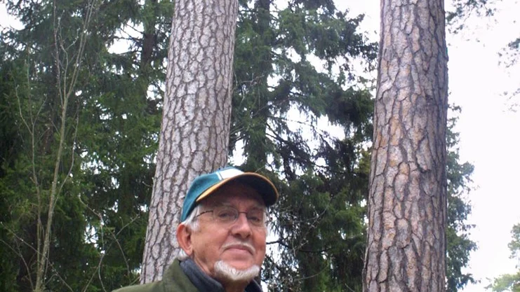 Bengt Landers känner för sin skog. De här ståtliga tallarna växer på en liten höjd nära Lorasjön.