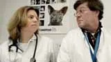 Både gränsveterinärerna Anna Werinder och Anders Stark och Djurskyddsmyndigheten anser att det finns stora brister i hur djur tas emot på Arlanda.