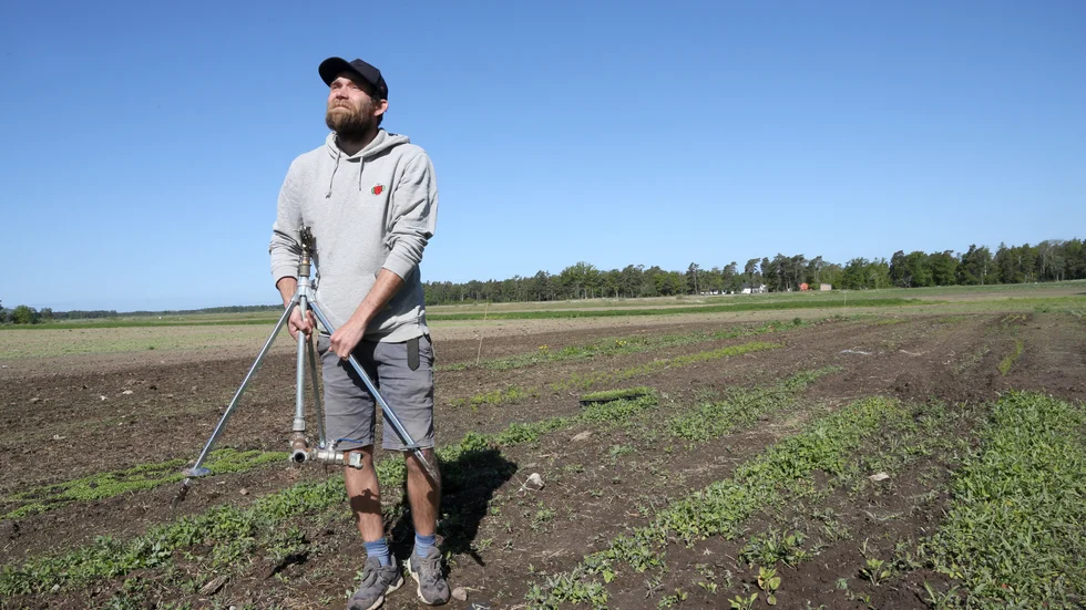 Andreas nypelius, ordförande LRF Gotland, ser situationen som väldigt allvarlig men att förutsättningarna i nuläget ändå är bättre än 2018.