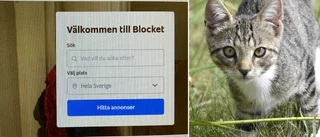 Strängnäskvinna blåst på gullig kattunge