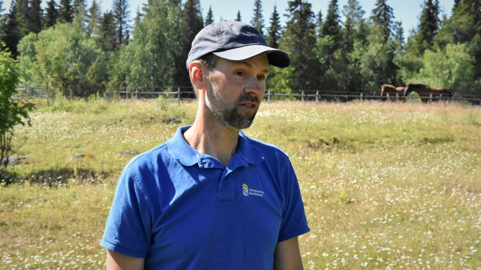 Jörgen Naalisvaara, ansvarig insektsövervakare på länsstyrelsen i Norrbotten.
