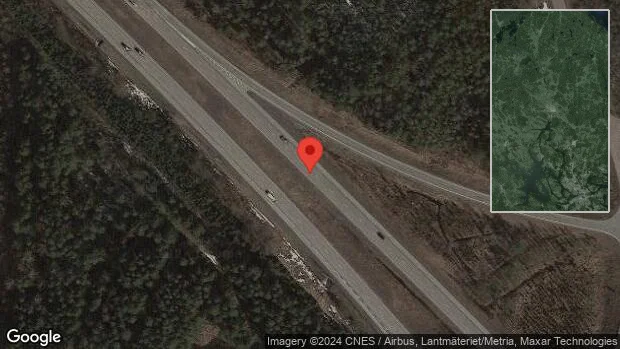 Älg på fel sida viltstängslet på E4