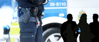 Trio begärs häktad för grovt vapenbrott och grovt knarkbrott