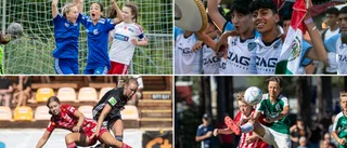 Piteå Summer Games slår alla tiders rekord: "Helt sjukt"