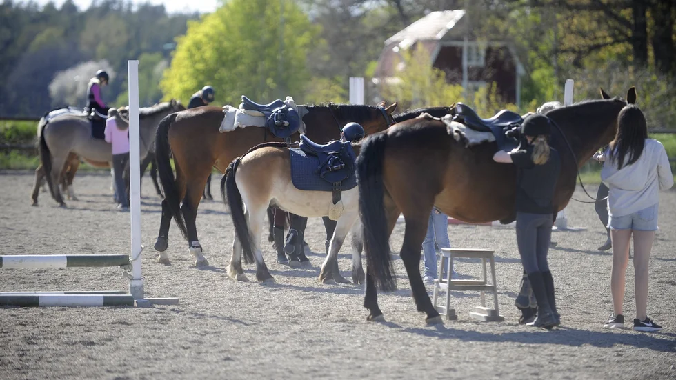 På Stjärnholms ridskola finns det en maxvikt på 90 kilo för de vuxna eleverna. Regeln har funnits i ett år.