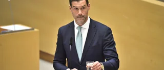 Regeringen ökar stöd till Georgien