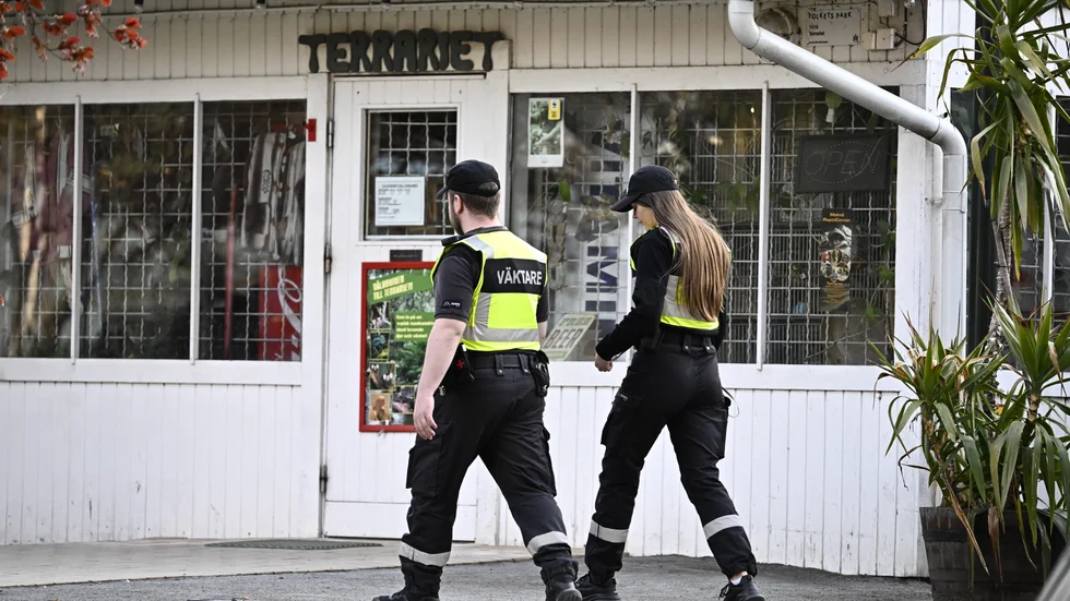 Det som först bedömdes vara en lös orm i Folkets Park i Malmö var i stället en benlös ödla.