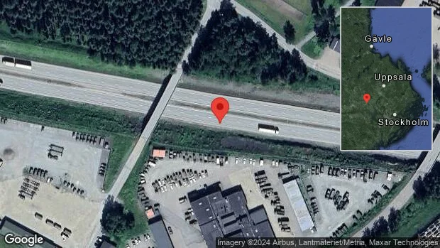 Rådjur på fel sida viltstängslet på E18