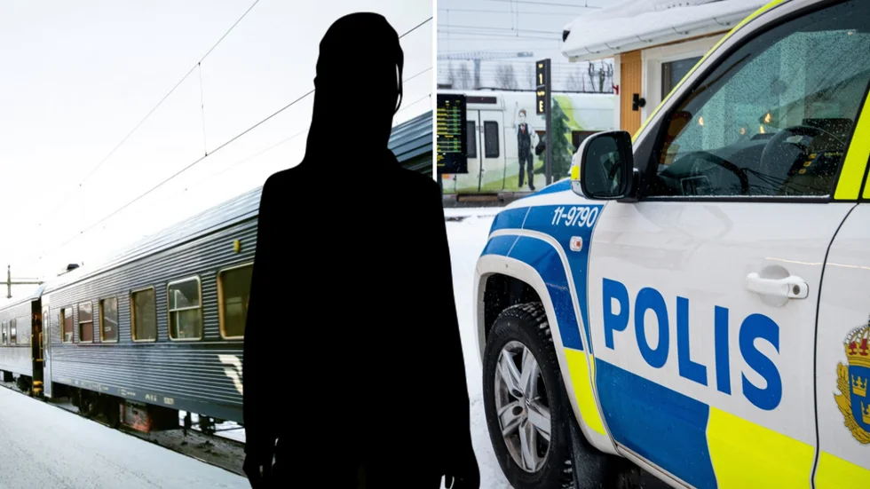 Kvinnan satte sig till våldsamt motvärn och ett flertal Luleåbor blev vittne till tumultet.