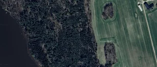 Gård i Tosterö byter ägare