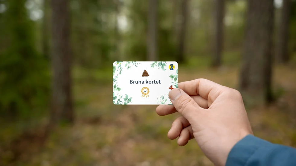 Bruna kortet startade som ett aprilskämt, men blev till allvar efter ett stort gensvar från allmänheten.
