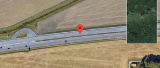 Rådjur på fel sida av viltstängslet på E4
