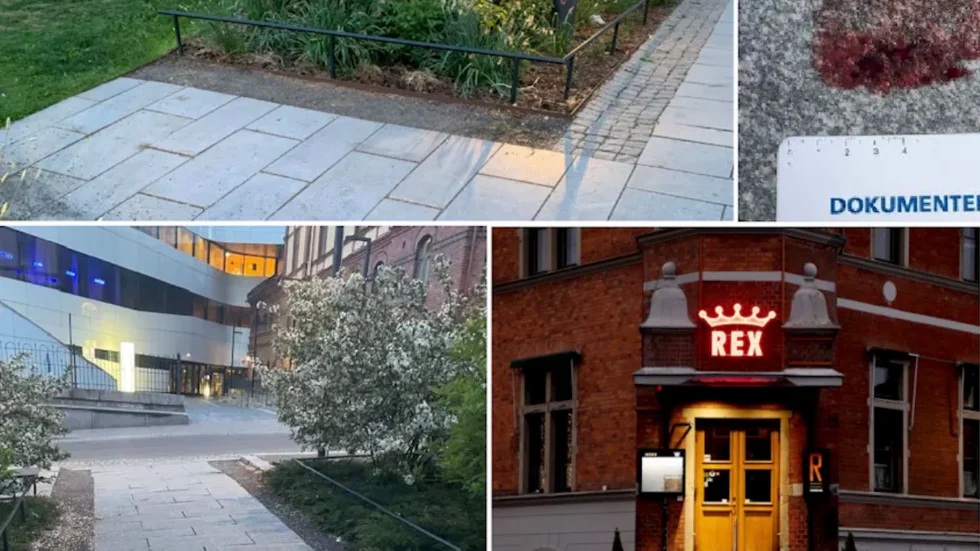 En av männen åtalas för grov misshandel och den andre för misshandeln efter händelsen i början på juni i Rådhusparken i centrala Umeå.