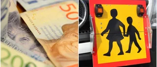 Hjälpen tas bort för barn med funktionshinder – till vilket pris?