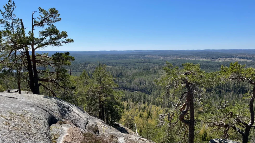 Naturreservaten är en resurs som borde vårdas bättre anser Friluftsfrämjandet och Svenska Turistföreningen.