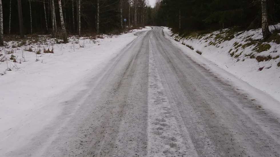 Torsvi skog, en bra dag.