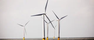 Havbaserad vindkraft som Dyning är värdefull