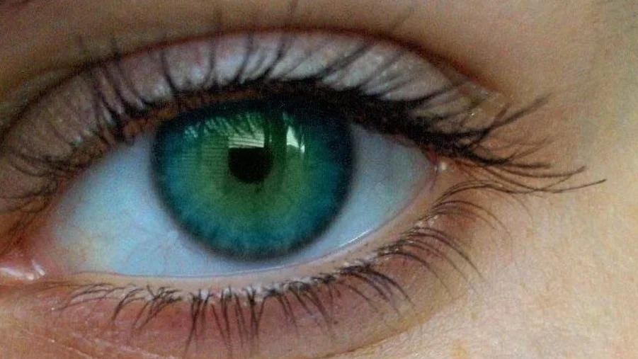 Öga