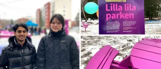 Nya parken på Bandstolsvägen – designades av ungdomar