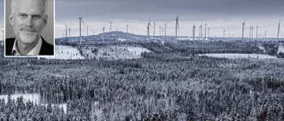Kinesisk vindkraftsjätte vill förlänga rekonstruktionen