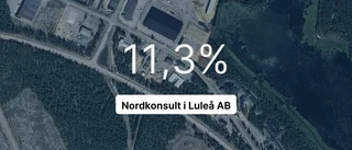 Få i branschen var bättre än Nordkonsult i Luleå AB i fjol