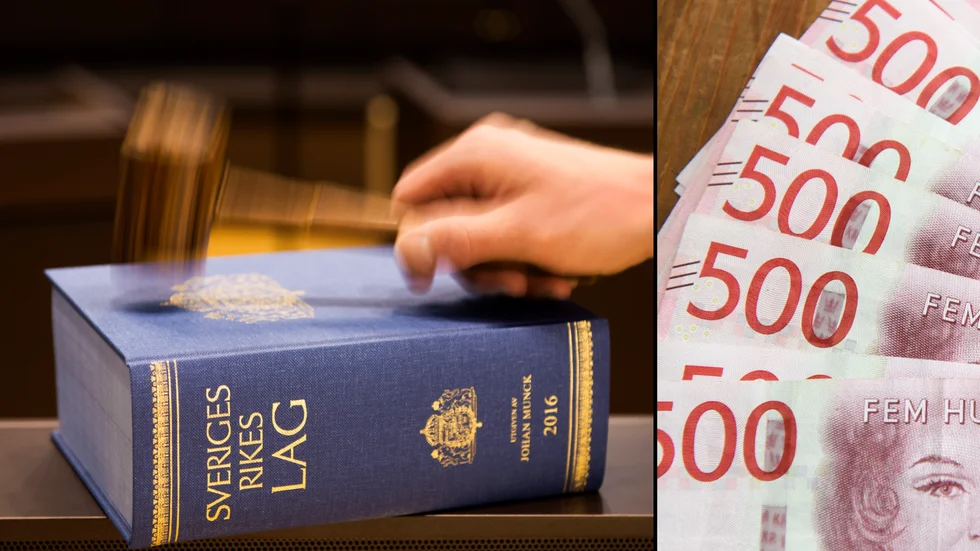 Kvinnan dömdes till villkorlig dom och dagsböter.