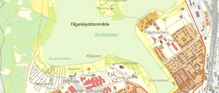 Bodenbor rasar mot watercross – oroas för andfamiljer
