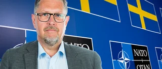  Vilken roll ska Sverige ha som medlem i Nato?