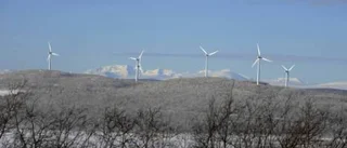 Vattenfall ljuspunkt i konjunkturmörkret