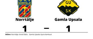Norrtälje och Gamla Upsala kryssade efter svängig match