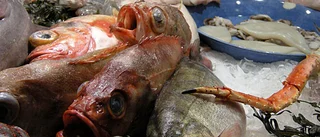 Nu ska fisken i disken inspekteras