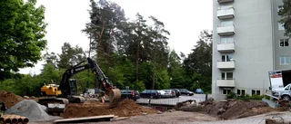 Färgglada flygande spadtag mot skyn