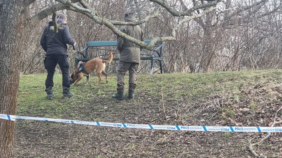 I en liten park mellan Gamla Lasarettsgatan och Sandbergsgatan söker polisen med hund.