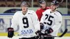 Luleå Hockey 2008-09.Tommi Miettinen,Lubos Bartecko