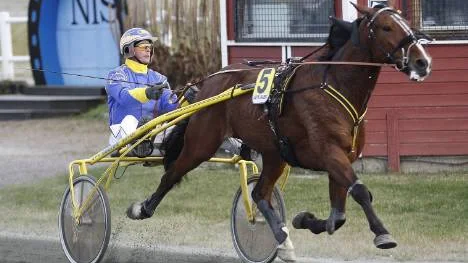 På väg mot en säker seger. Krister Söderhollm och hästen Nick America kunde, ohotad, vinna första V4-loppet på Bodentravet.