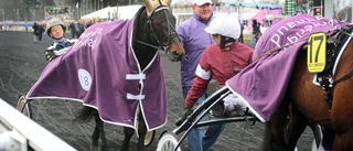 Opalen femma i Prix d´Amerique