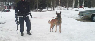 Voltade med bilen och sprang till skogs