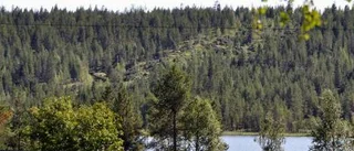 Ännu en tromb i Gällivaretrakten - röjde upp gata i skogen