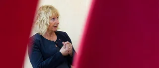 S kräver krafttag från regeringen i bullerfråga