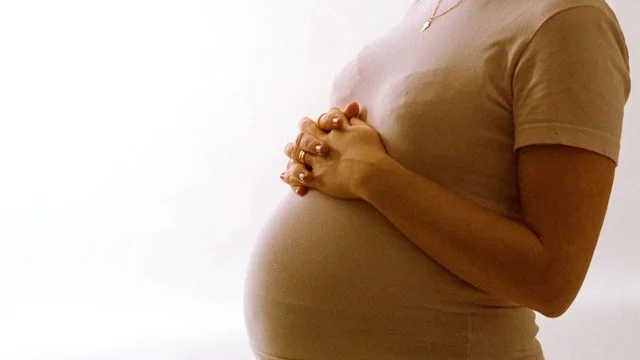 havande gravid