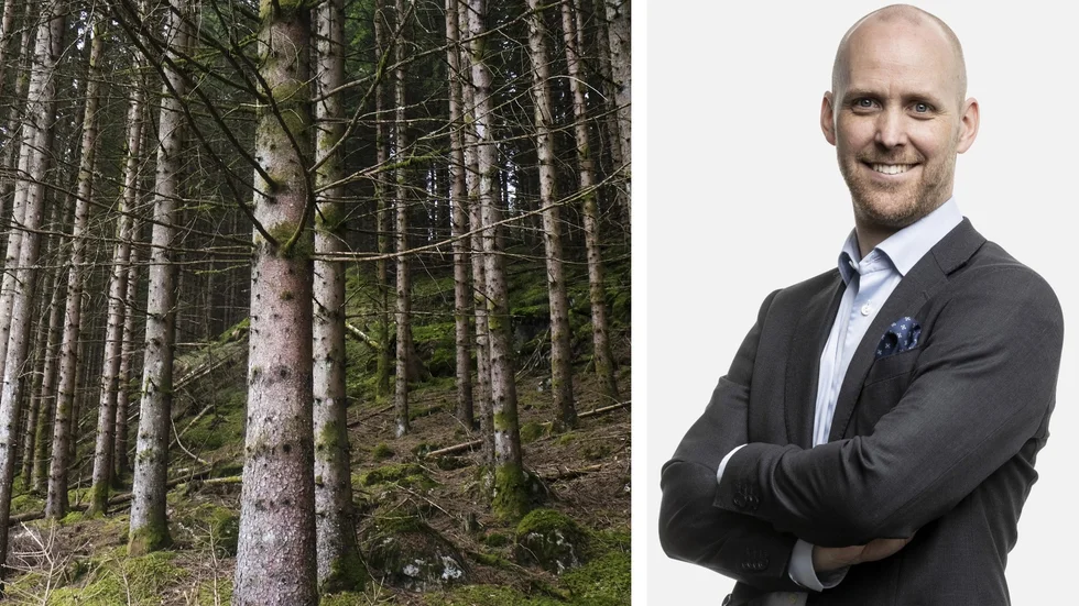 "Vi ser ett fortsatt stort intresse för att investera i skogsmark, konjunkturen till trots", säger Stefan Wärdig på Ludvig & co.