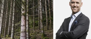 Guld och gröna skogar – priserna fortsätter att stiga i Östergötland