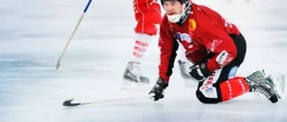 Veteranen Henrik Ilhammar slutar med bandyn