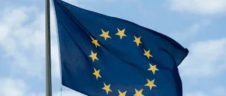EU-avgiften måste minska