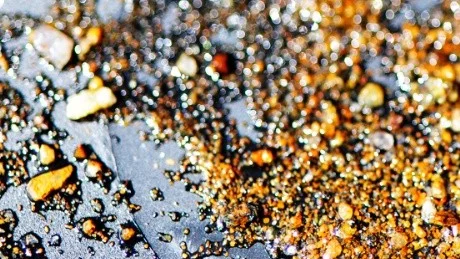 Nu känner sig Wiking Mineral AB säker på att det finns guld i Gladhammar. Man uppskattar att fyndigheten innehåller totalt 156 000 ton malm med guld, silver och koppar. Den här bilden togs vid en provvaskning av guld för något år sedan. Arkivfoto: Karin Hertz
